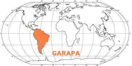 Prkno GARAPA 25x145, délka 3355mm jm./hr.