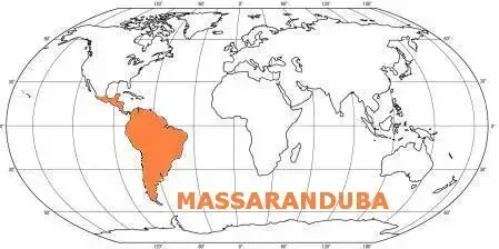 Prkno MASSARANDUBA 21x145, délka 3680mm, jm./hl.