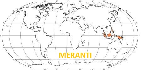 Profil SOFTLINE MERANTI 16x120, délka 3048mm DARK RED