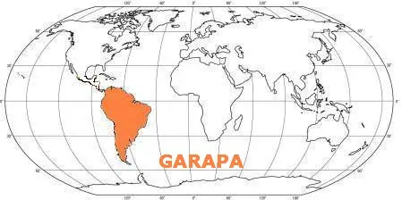 Prkno GARAPA 21x145, délka 3965mm, hl./hl.