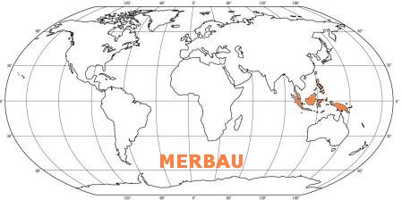 Prkno MERBAU 25x145, délka 3070mm