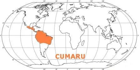 Prkno CUMARU 21x145, délka 1850mm, hl./hl.