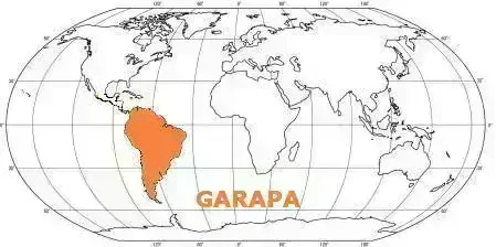 Prkno GARAPA 25x145, délka 3355mm, hl./hl.